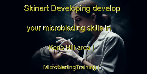 Skinart Developing develop your microblading skills in Keno Hill area | MicrobladingTraining | MicrobladingClasses | SkinartTraining-Canada